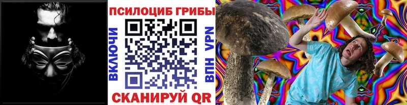 Галлюциногенные грибы прущие грибы  Черногорск 